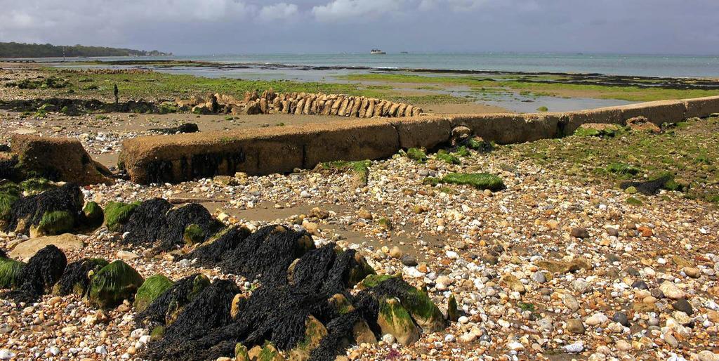 The Crab And Lobster Inn Bembridge Bagian luar foto